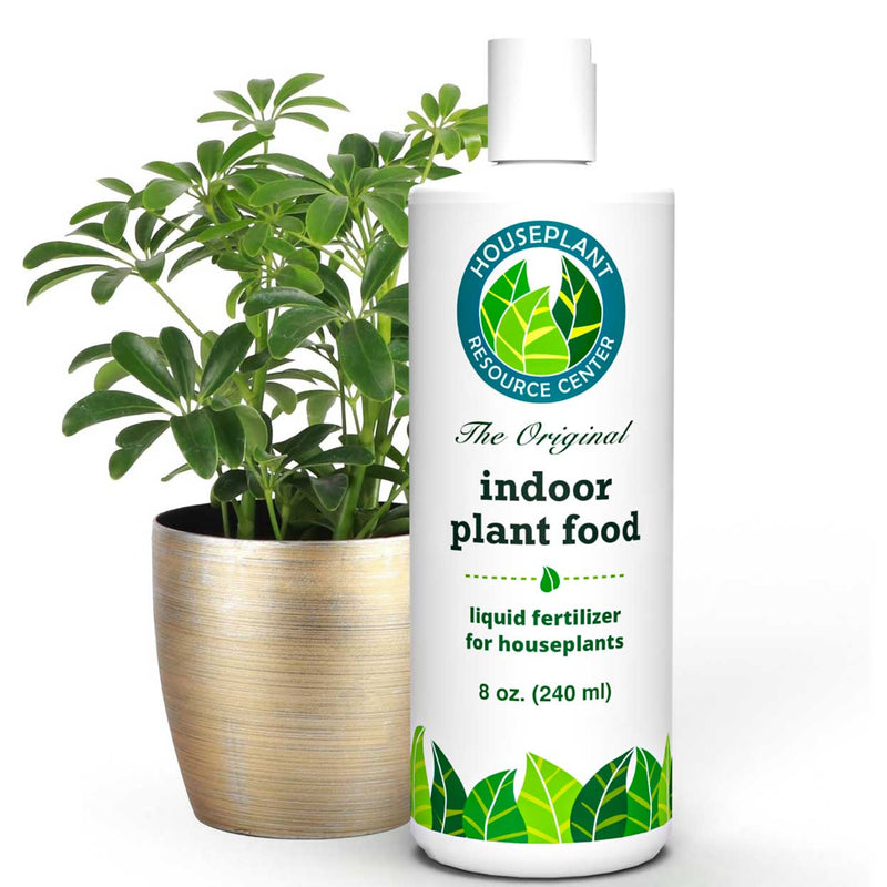 The-Best-Houseplant-Fertilizer