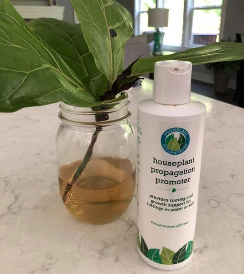 Houseplant Propagation Promoter
