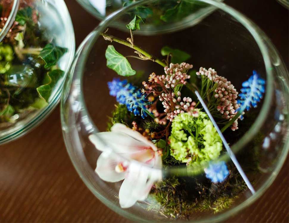 Your Step-by-Step Guide to Creating an Orchid Terrarium