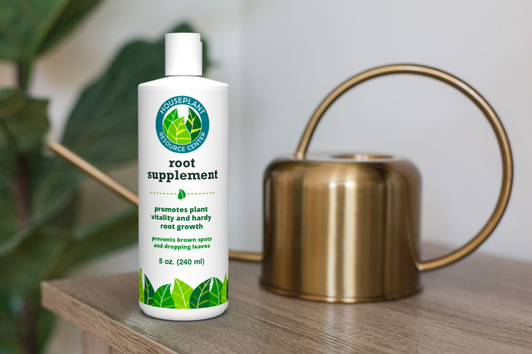 Perfect Root Rot Treatment