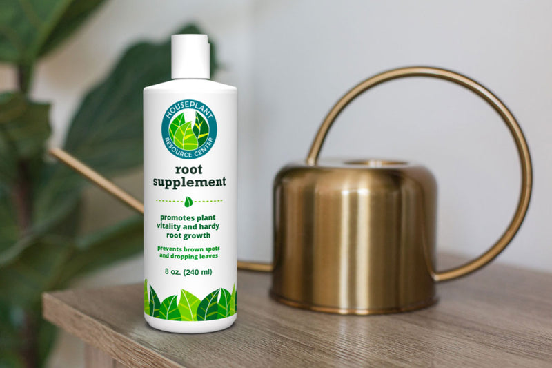 Perfect Root Rot Treatment