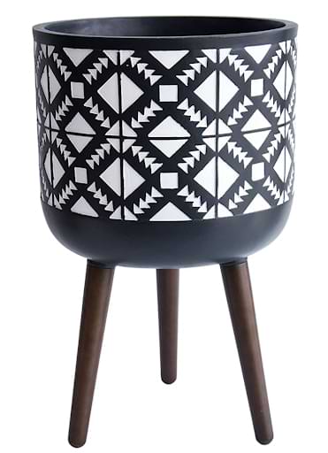 The Best Pots for Majesty Palms