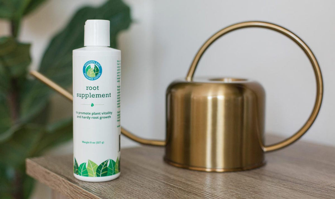 Our Root Rot Treatment Is Available Now! (Try Now)