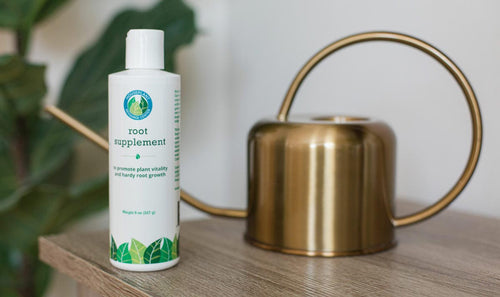 Our Root Rot Treatment Is Available Now! (Try Now)