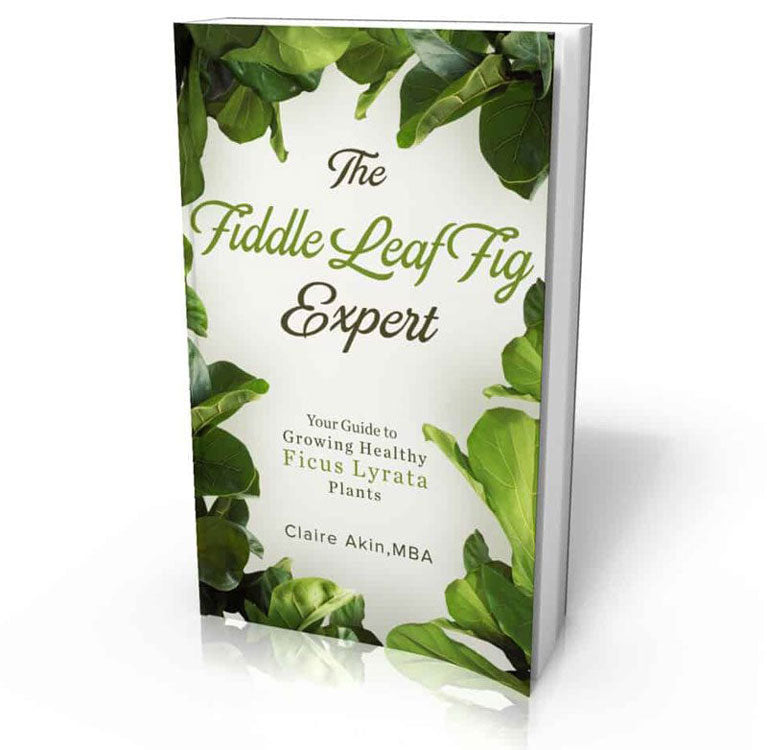 The Fiddle Leaf Fig Book Has a New Cover and a Lower Price!