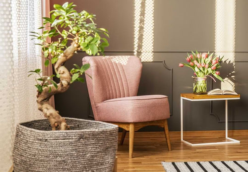 The Ultimate Bonsai Plant FAQ Cheat Sheet