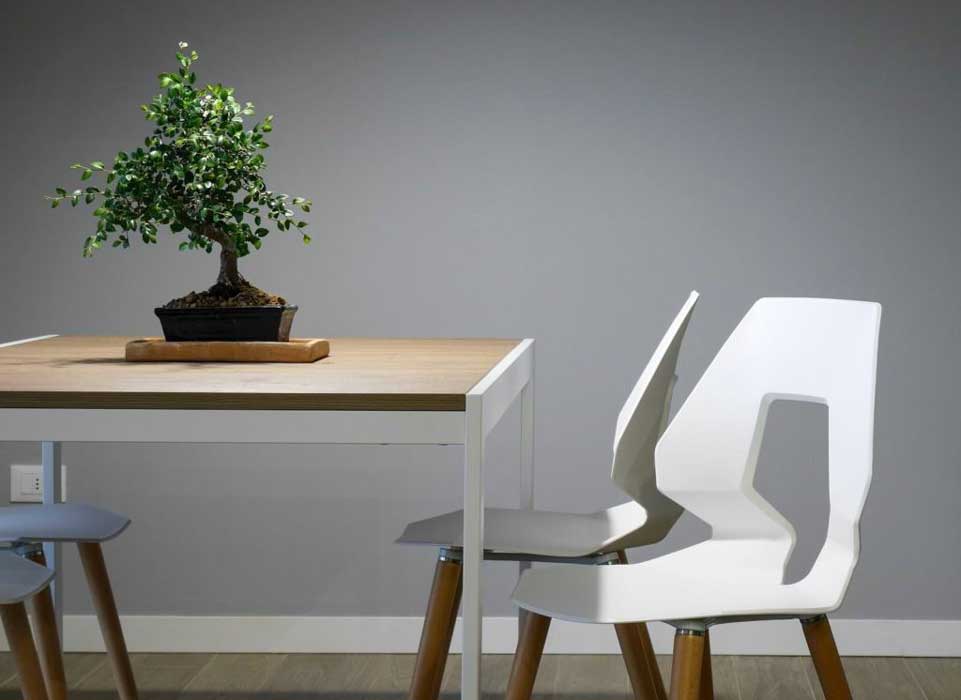 4 Tips for Choosing a Bonsai Planter
