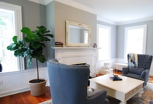 What Designers Mean by “White Space” (And How the Fiddle Leaf Fig Perfectly Exemplifies This Interior Decorating Trick)