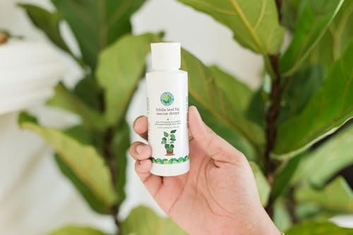 Root Rot Treatment