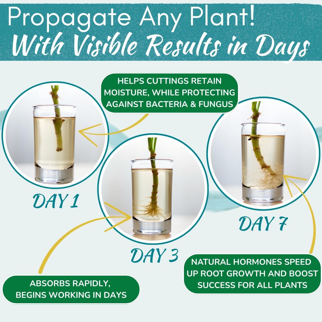 Houseplant Prop Drops – Propagation Promoter & Root Growth Hormone | 8 oz