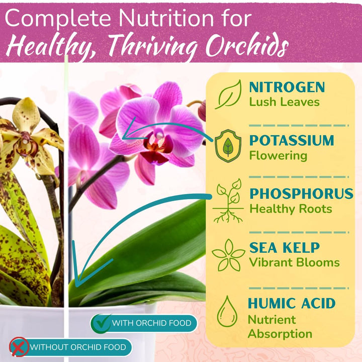 Orchid Food Spray – Enriched, Bioavailable Fertilizer Mist | 8 oz