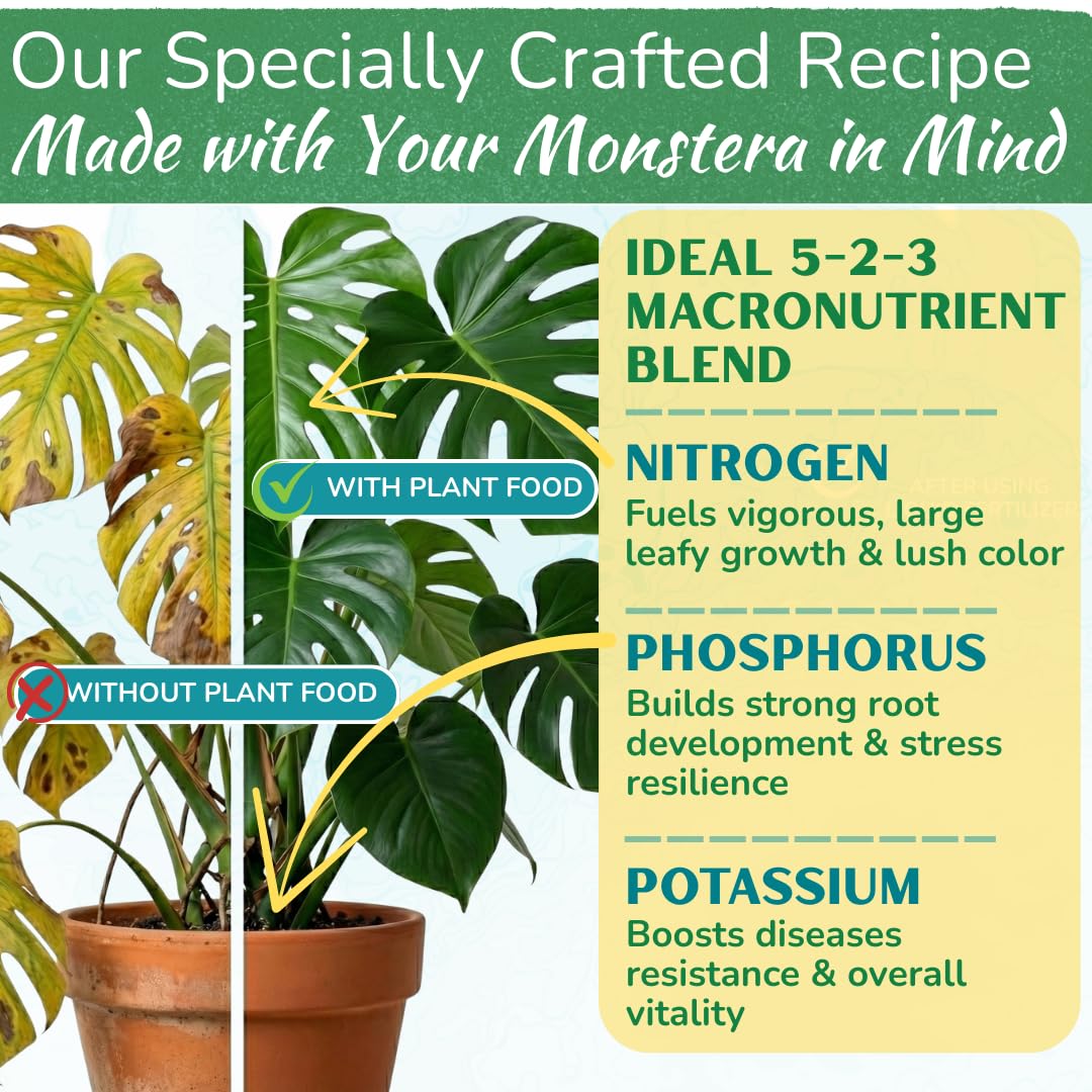 Monstera Plant Food – Enriched, Bioavailable Liquid Fertilizer | 8 oz