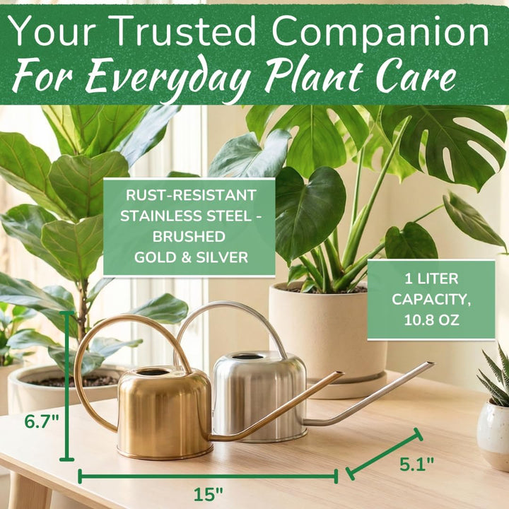 Stainless Steel Watering Can for Houseplants | 1L Capacity