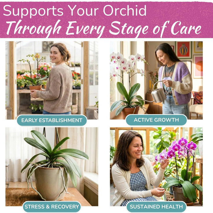 Orchid Food Spray – Enriched, Bioavailable Fertilizer Mist | 8 oz