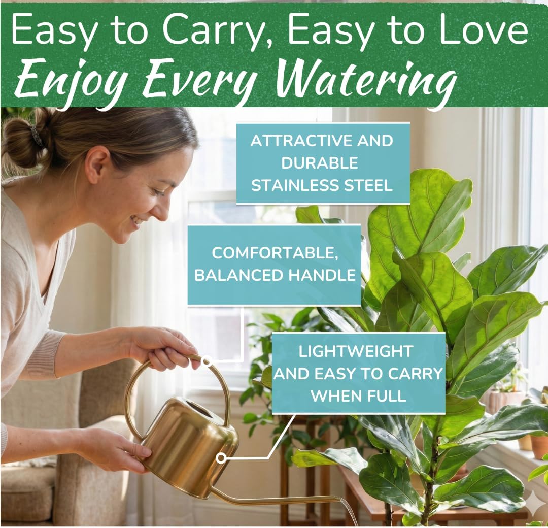 Stainless Steel Watering Can for Houseplants | 1L Capacity