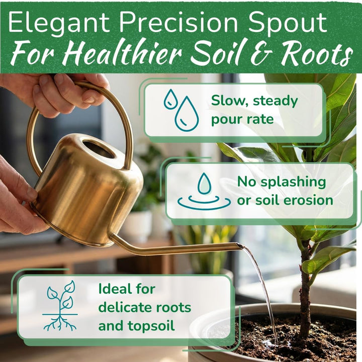 Stainless Steel Watering Can for Houseplants | 1L Capacity