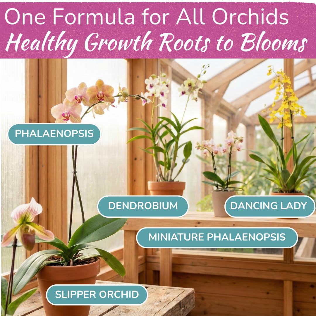 Orchid Food Spray – Enriched, Bioavailable Fertilizer Mist | 8 oz