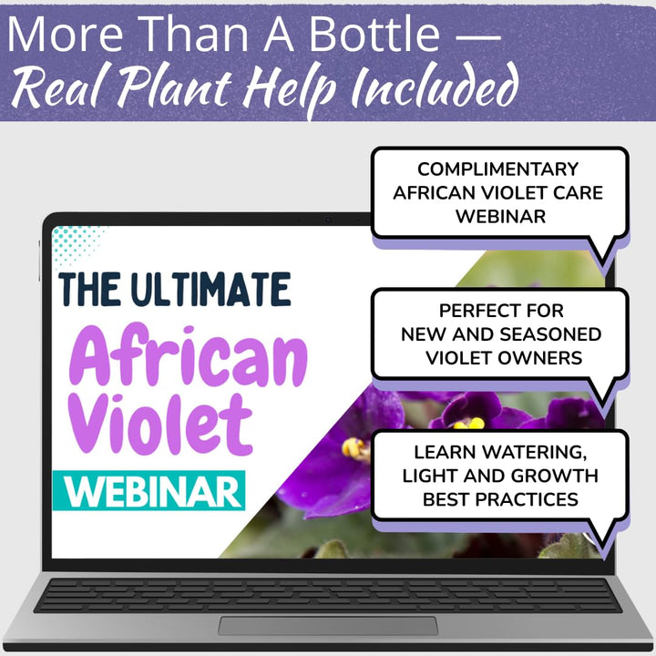 African Violet Plant Food – Enriched, Bioavailable Liquid Fertilizer | 8 oz