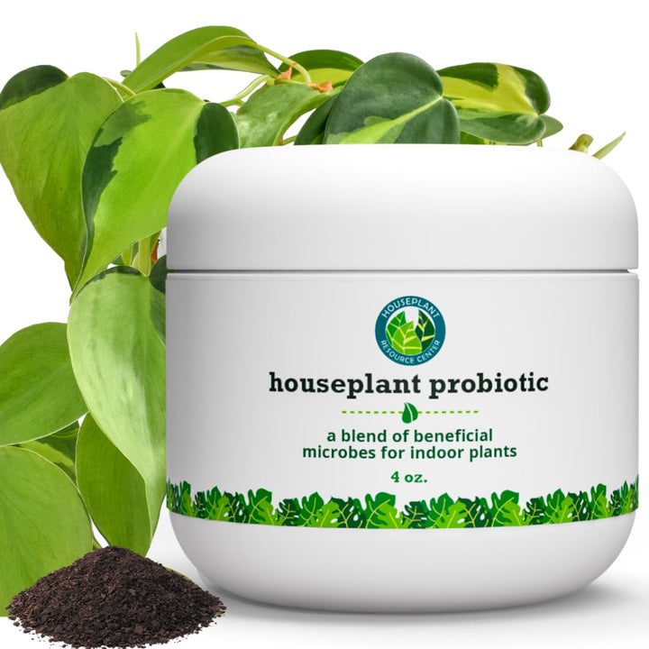 Organic Houseplant Probiotic Powder & Soil Conditioner | 4 oz