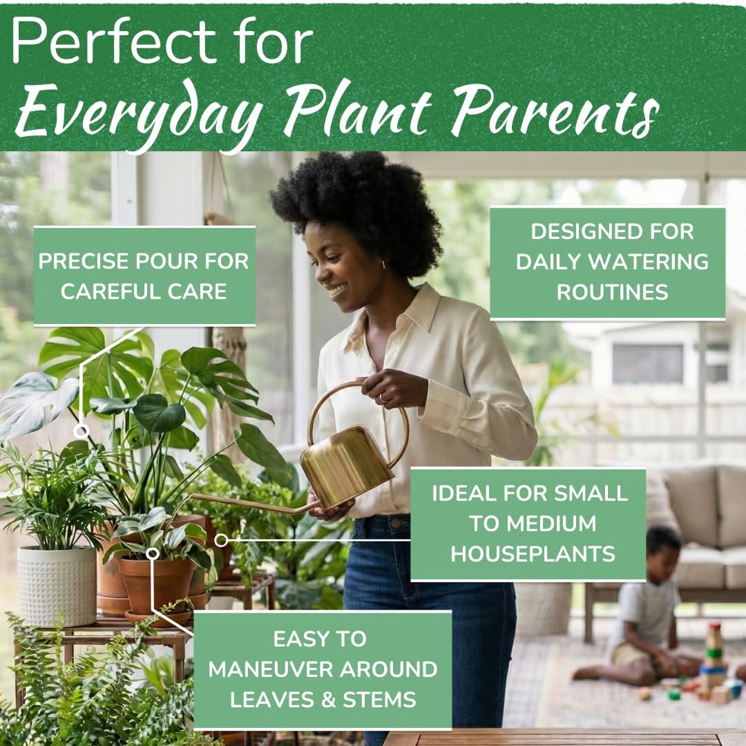 Stainless Steel Watering Can for Houseplants | 1L Capacity