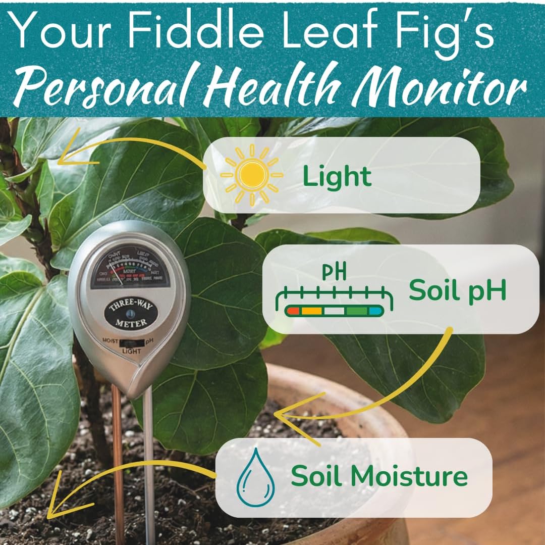Fiddle Leaf Fig 3-in-1 Soil Meter — Measures Light, Moisture & pH for Optimal Growth | Battery-Free