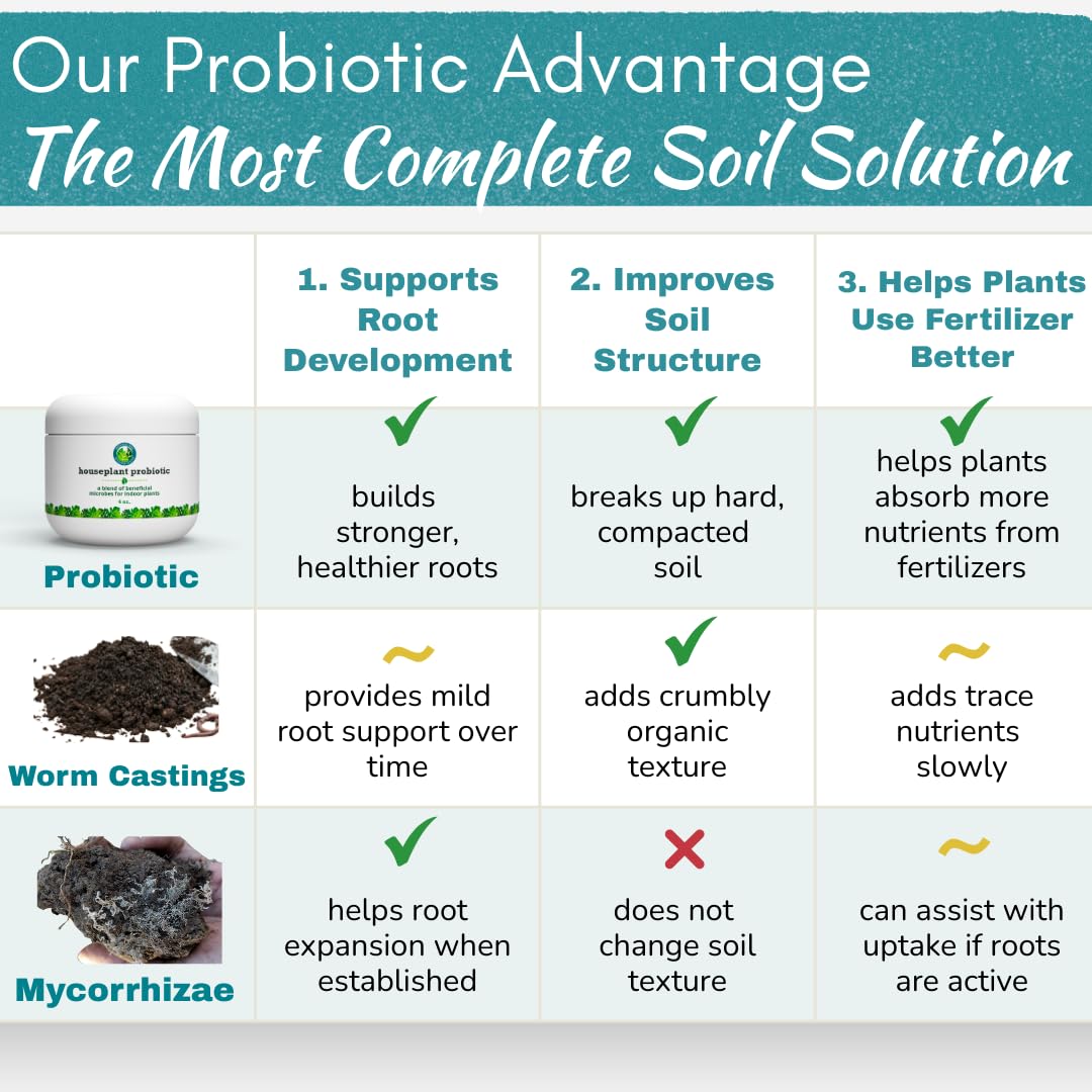 Organic Houseplant Probiotic Powder & Soil Conditioner | 4 oz