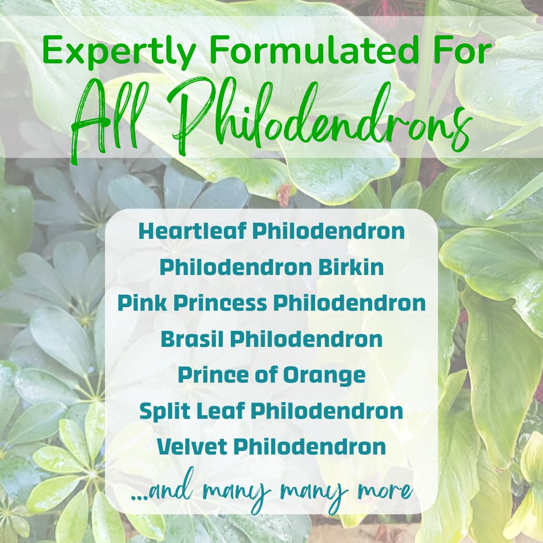 philodendron fertilizer requirements Philodendron Plant Food – Enriched, Bioavailable Liquid Fertilizer