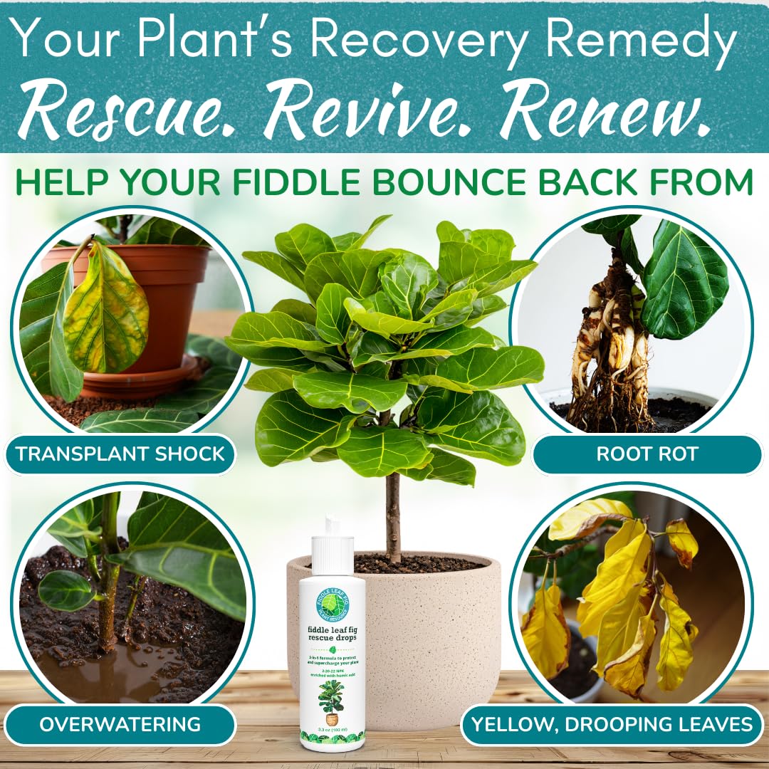 Fiddle Leaf Fig Rescue Drops — Powerful Immunity Boosting Formula | 3.3 oz