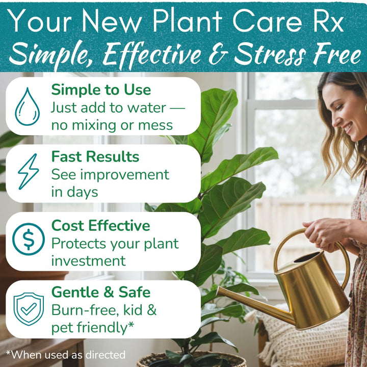 Fiddle Leaf Fig Rescue Drops — Powerful Immunity Boosting Formula | 3.3 oz