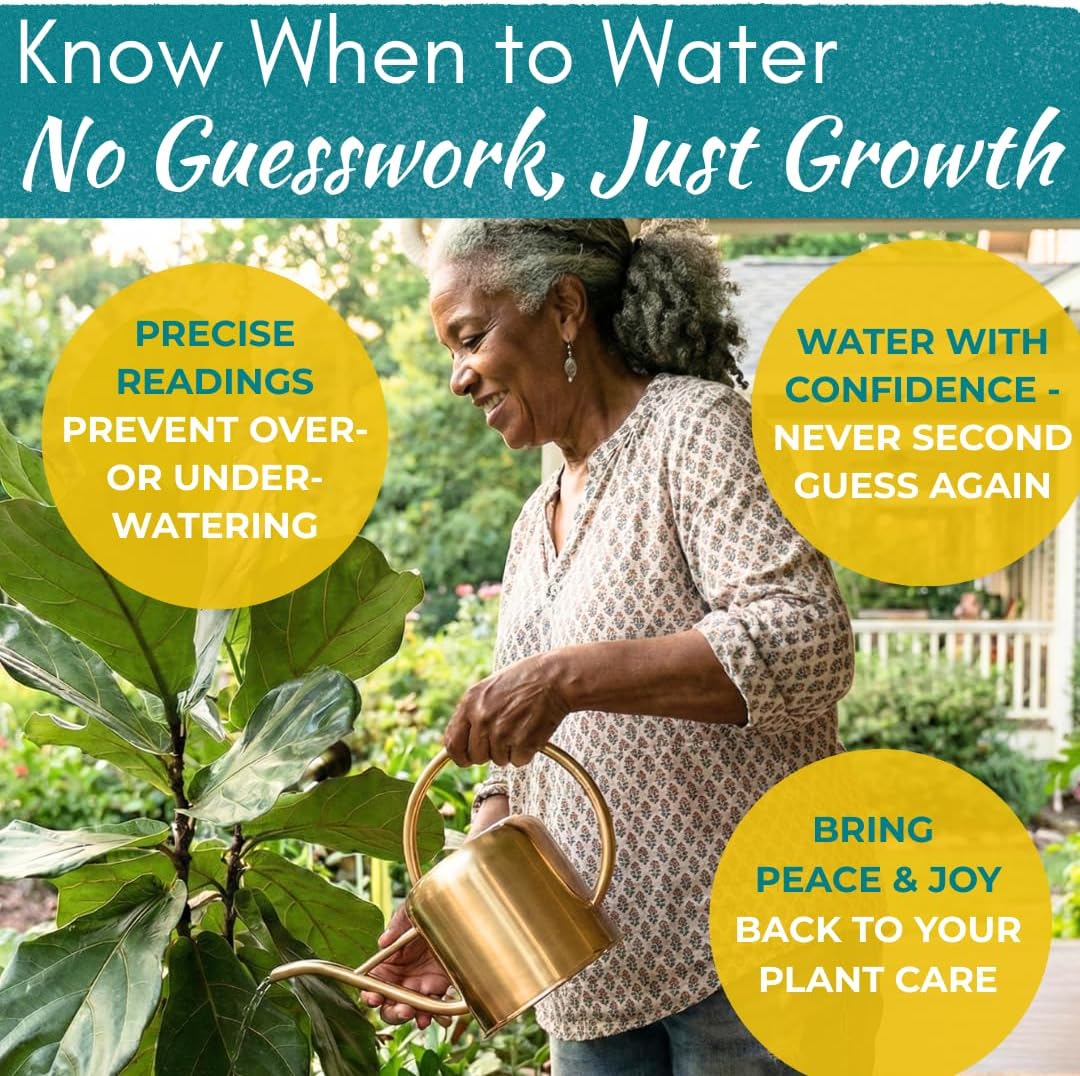 Fiddle Leaf Fig 3-in-1 Soil Meter — Measures Light, Moisture & pH for Optimal Growth | Battery-Free