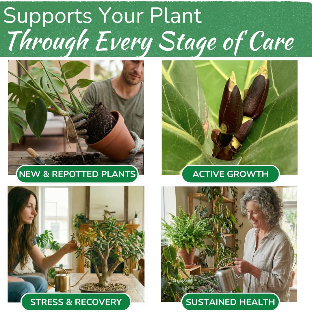 Indoor Plant Food - Versatile, Bioavailable Liquid Fertilizer | 8 oz