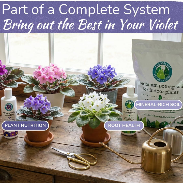 African Violet Plant Food – Enriched, Bioavailable Liquid Fertilizer | 8 oz