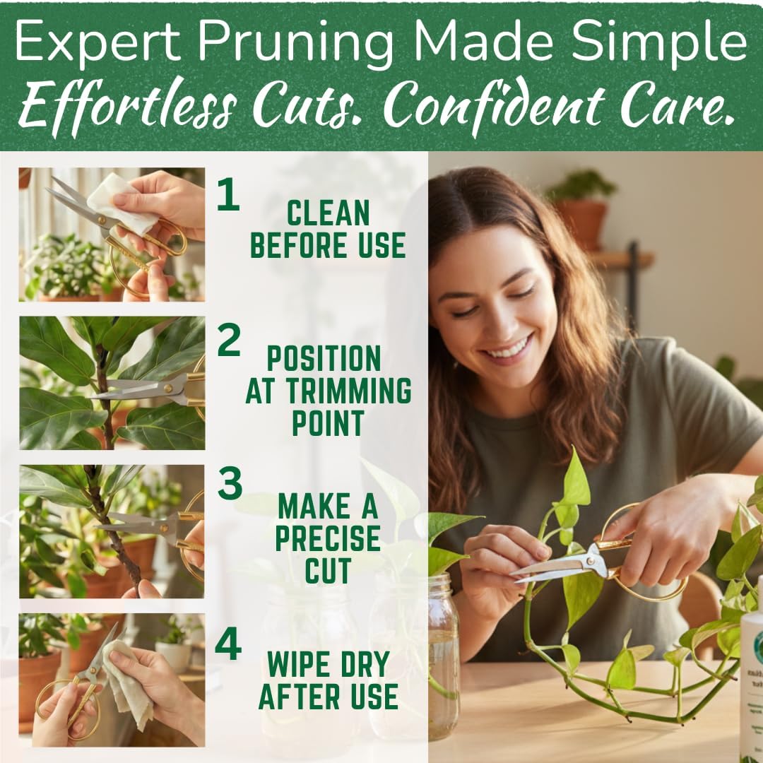Premium Houseplant Scissors & Pruning Shears — Rust Resistant, Stainless Steel, Ultra-Precise