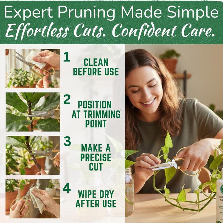 Premium Houseplant Scissors & Pruning Shears — Rust Resistant, Stainless Steel, Ultra-Precise