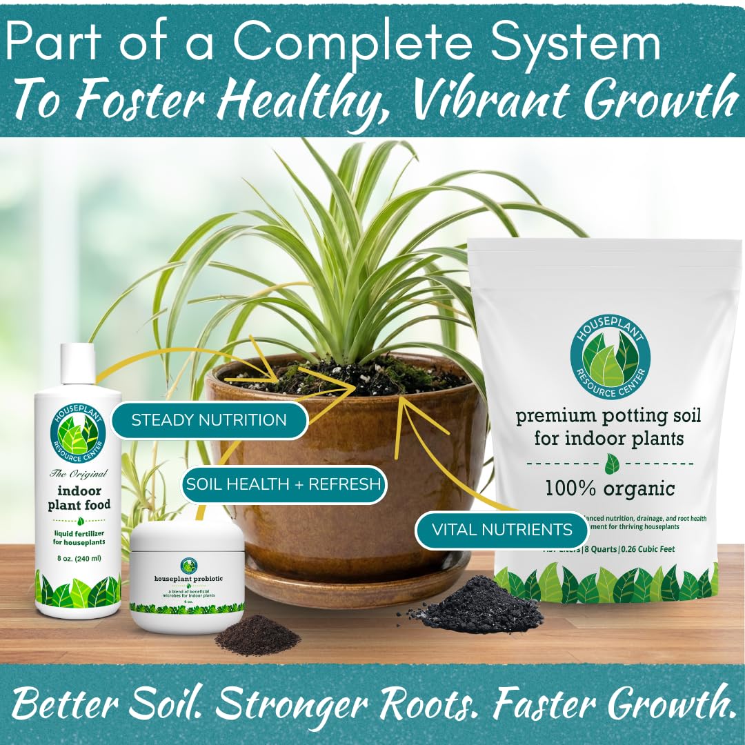 organic house plant focus Organic Houseplant Probiotic Powder & Soil Conditioner