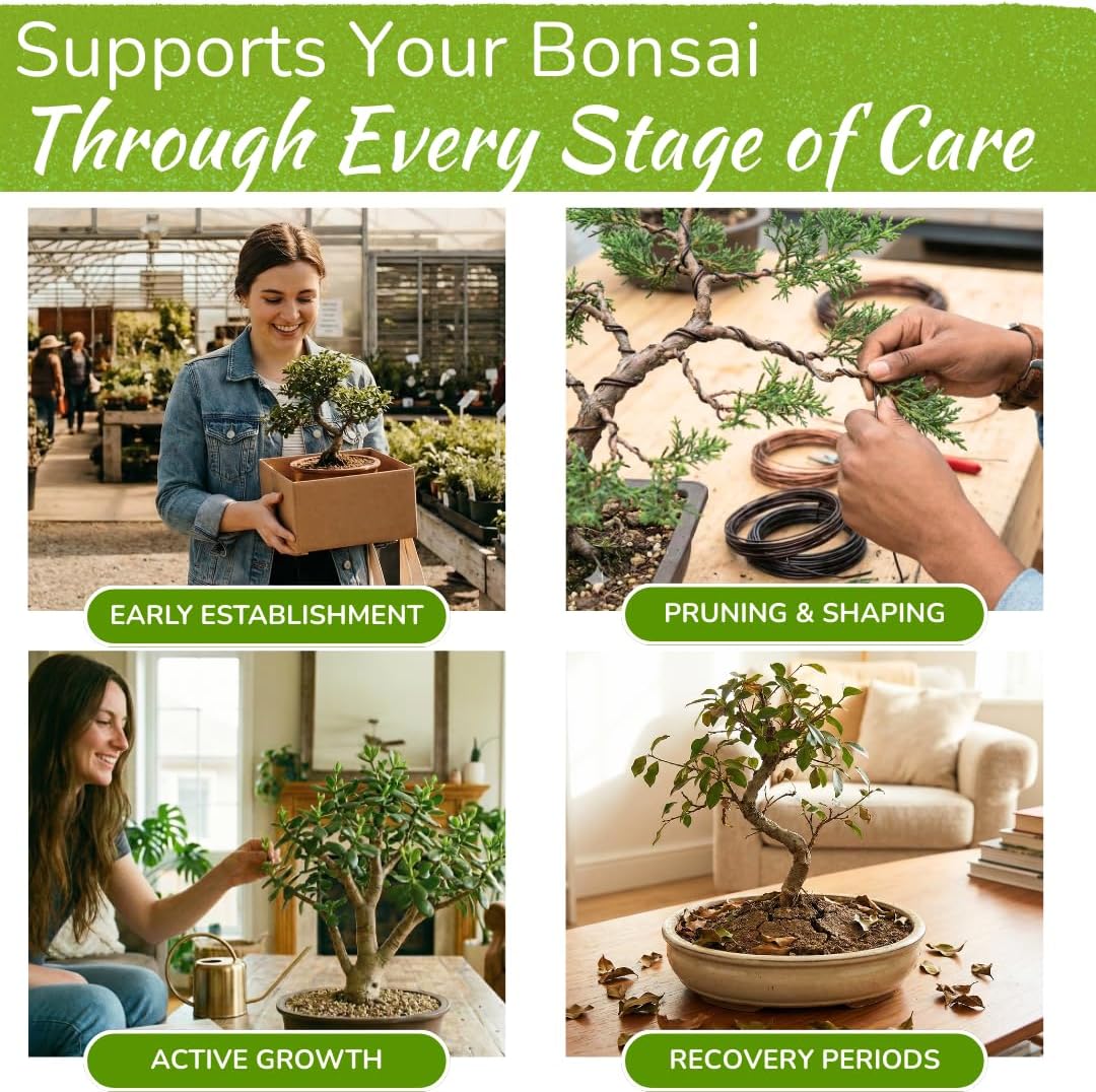 Bonsai Tree Food – Enriched, Bioavailable Liquid Fertilizer | 8 oz