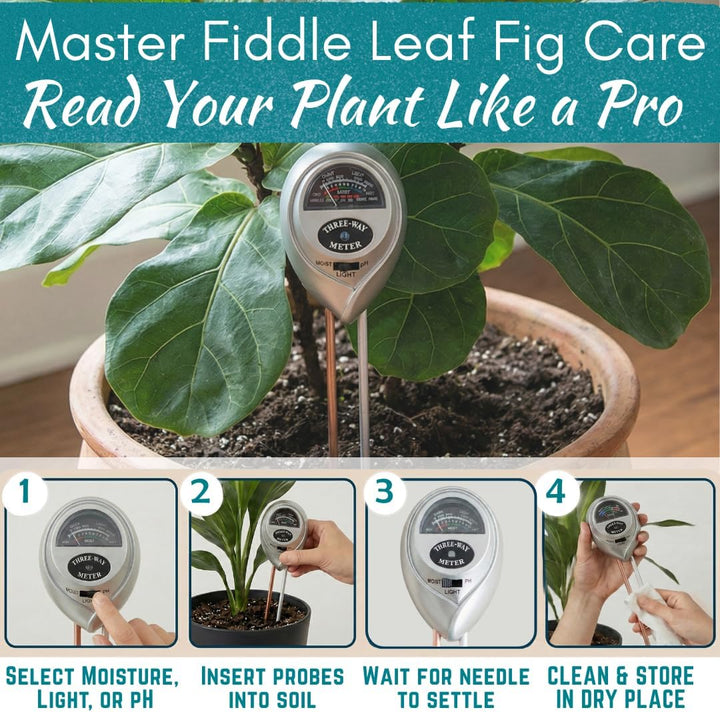 Fiddle Leaf Fig 3-in-1 Soil Meter — Measures Light, Moisture & pH for Optimal Growth | Battery-Free