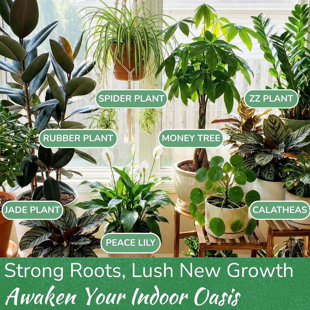 Indoor Plant Food - Versatile, Bioavailable Liquid Fertilizer | 8 oz