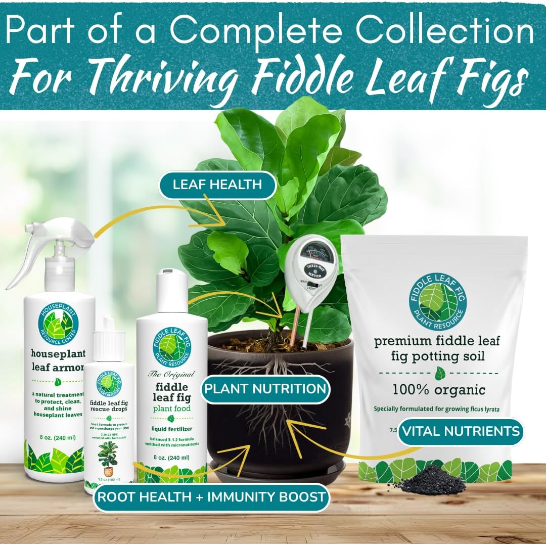 Fiddle Leaf Fig 3-in-1 Soil Meter — Measures Light, Moisture & pH for Optimal Growth | Battery-Free