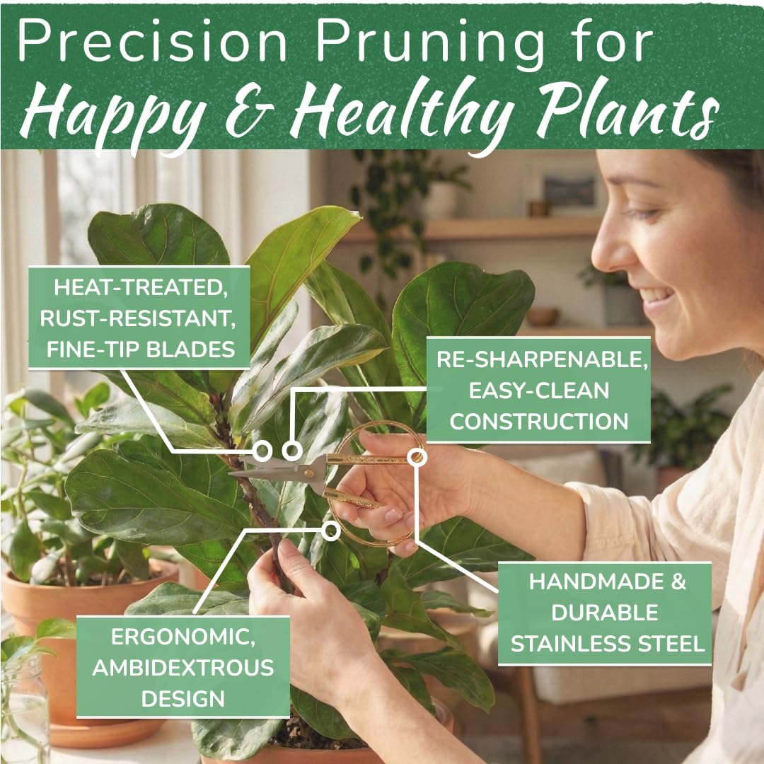 Premium Houseplant Scissors & Pruning Shears — Rust Resistant, Stainless Steel, Ultra-Precise