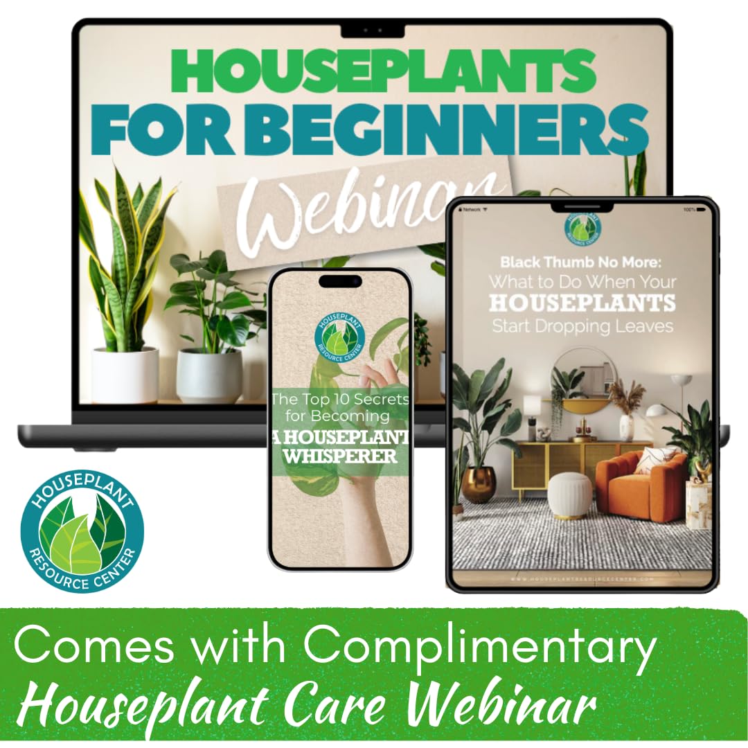 Philodendron Plant Food – Enriched, Bioavailable Liquid Fertilizer | 8 oz