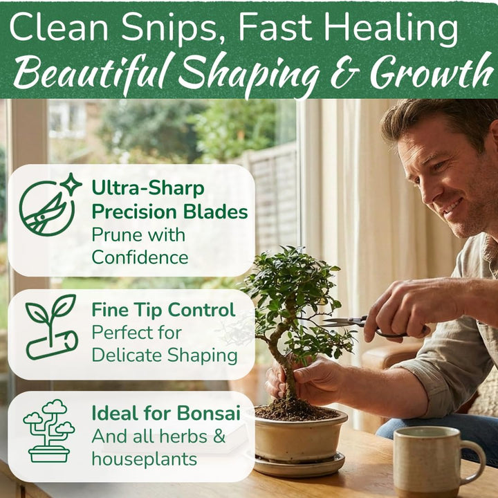 Premium Houseplant Scissors & Pruning Shears — Rust Resistant, Stainless Steel, Ultra-Precise