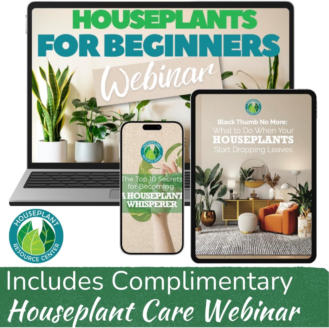 Premium Houseplant Scissors & Pruning Shears — Rust Resistant, Stainless Steel, Ultra-Precise