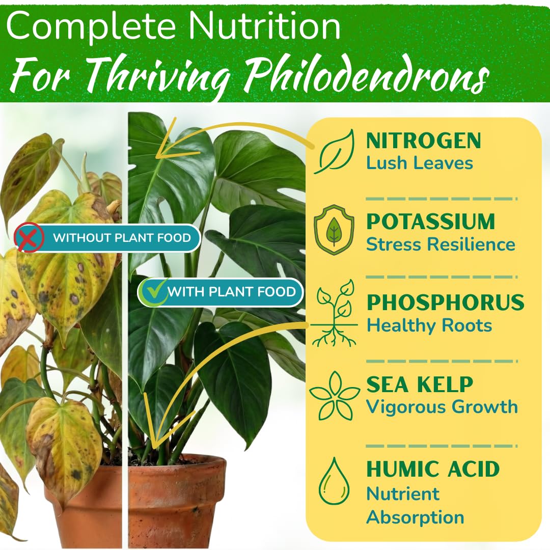 Philodendron Plant Food – Enriched, Bioavailable Liquid Fertilizer | 8 oz