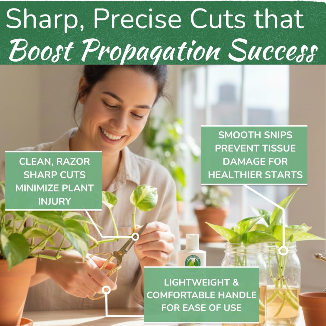 Premium Houseplant Scissors & Pruning Shears — Rust Resistant, Stainless Steel, Ultra-Precise