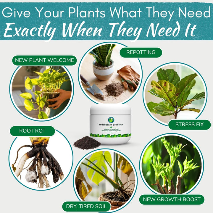 Organic Houseplant Probiotic Powder & Soil Conditioner | 4 oz