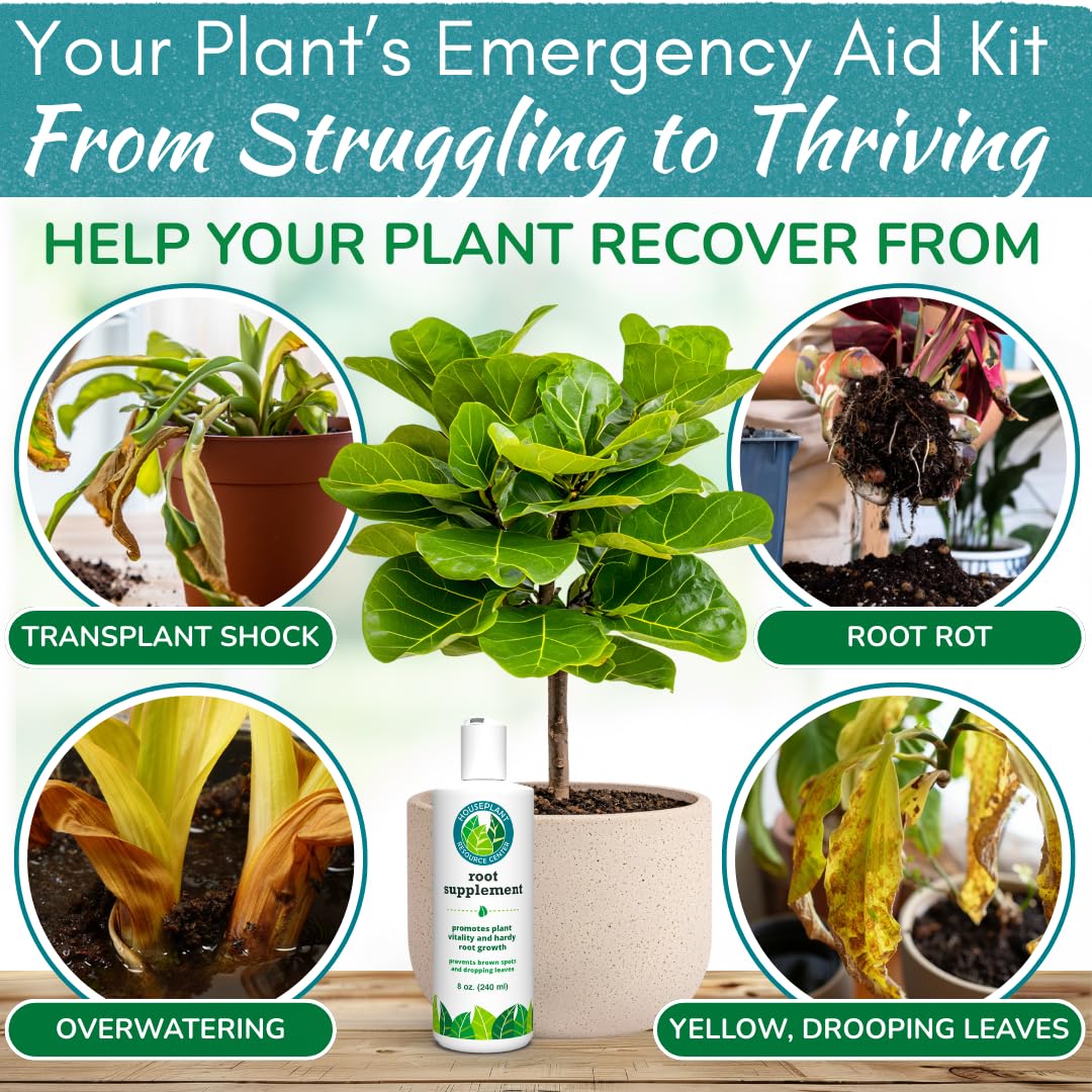root rot treatment indoor plants Root Rot Repair - Recovery Drops Supplement