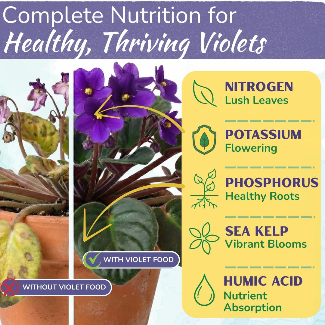 African Violet Plant Food – Enriched, Bioavailable Liquid Fertilizer | 8 oz