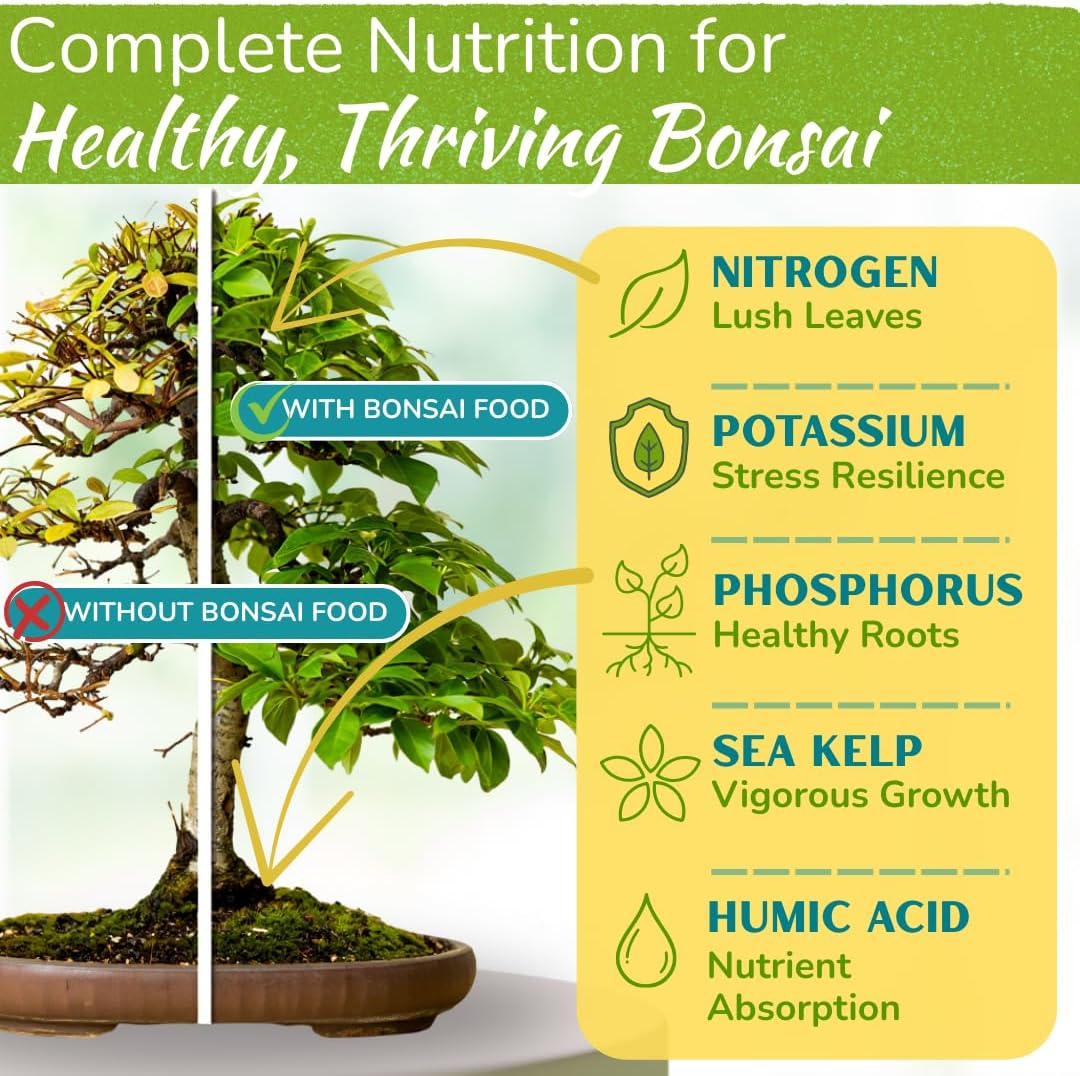 Bonsai Tree Food – Enriched, Bioavailable Liquid Fertilizer | 8 oz