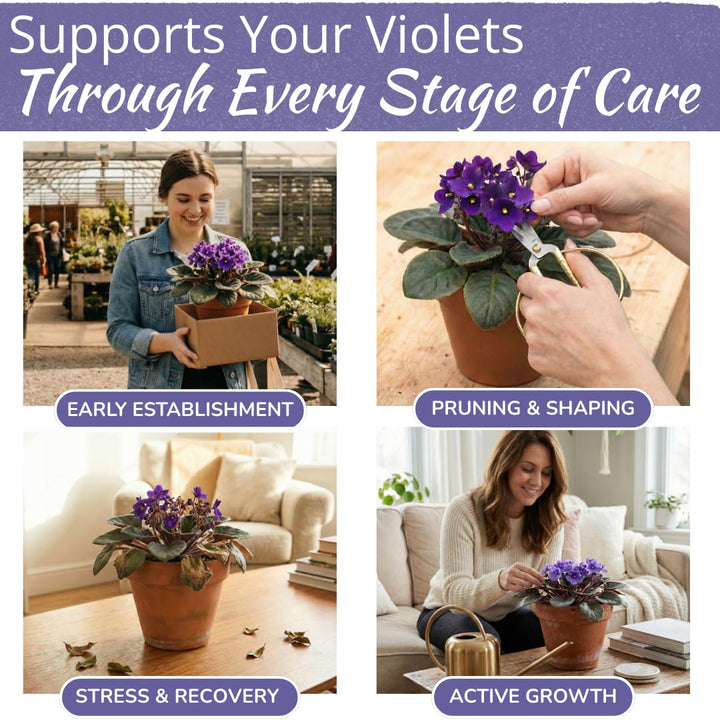 African Violet Plant Food – Enriched, Bioavailable Liquid Fertilizer | 8 oz